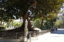 943a cadiz plaza san francisco